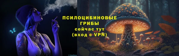 первитин Надым