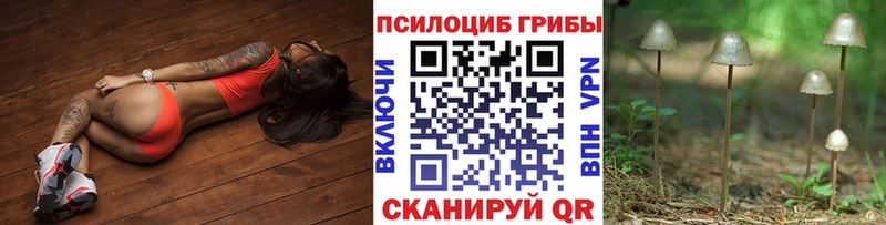 Псилоцибиновые грибы прущие грибы  Красногорск 