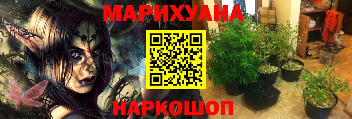 Бошки марихуана марихуана Красногорск